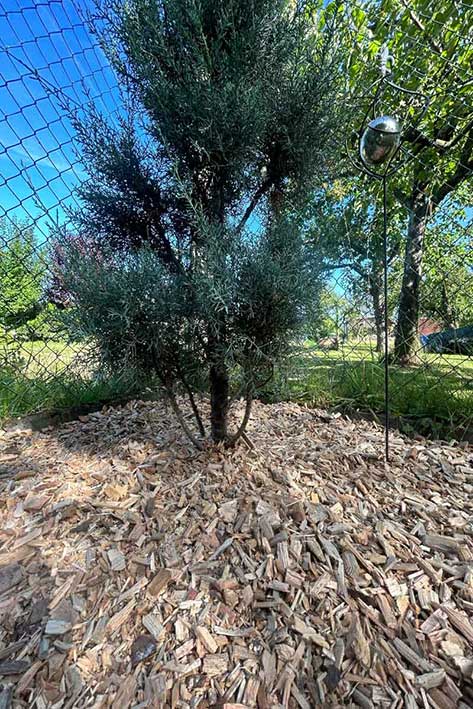 Ullrich_GbR_DEKO-Hackschnitzel