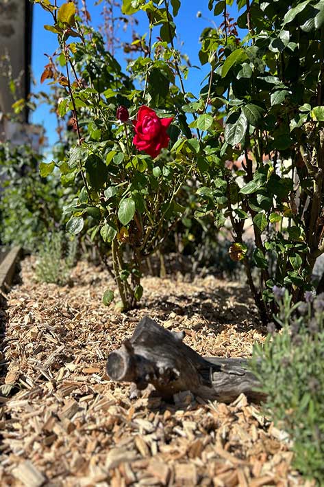 Ullrich_GbR_DEKO-Hackschnitzel6